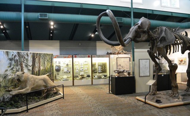 14324588_326368727696784_8685436141456036101_o - Copy