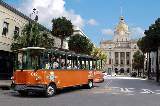 savannah-hop-on-hop-off