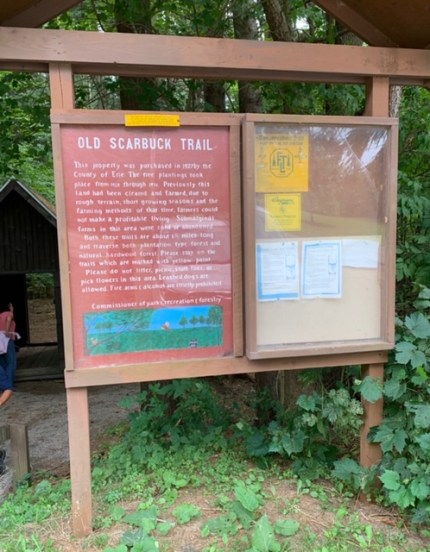 FullSizeRender - 2019-09-14T180848.703