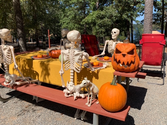 FullSizeRender - 2019-09-23T153008.433