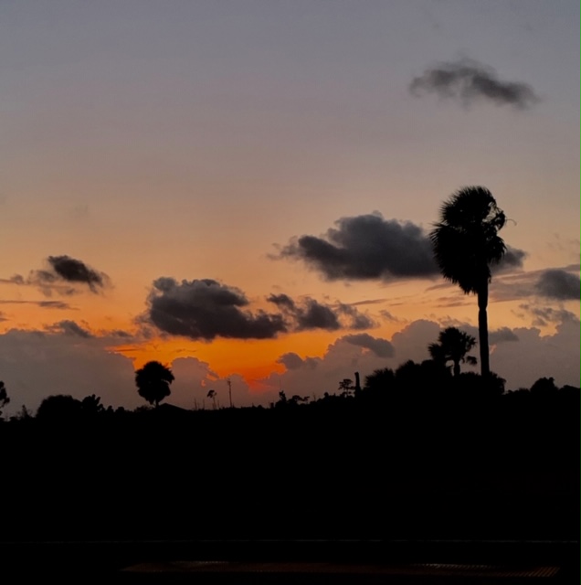 FullSizeRender - 2019-09-30T194305.649