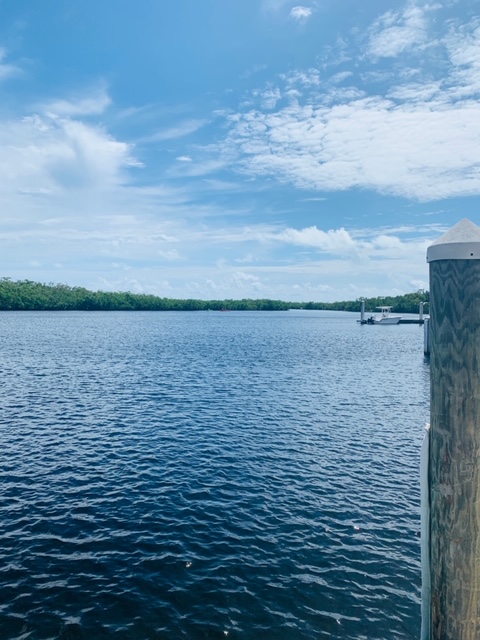 FullSizeRender - 2019-10-08T141825.685