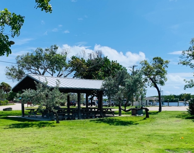 FullSizeRender - 2019-10-08T142819.439