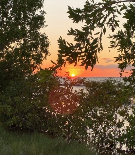 FullSizeRender - 2019-11-19T183301.300