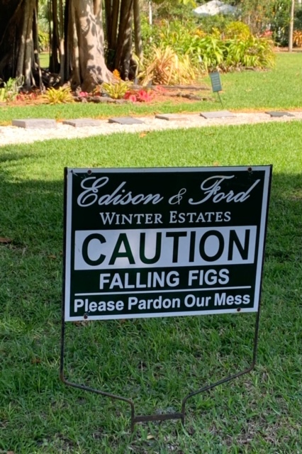 FullSizeRender - 2020-01-20T123138.510