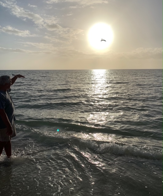 FullSizeRender - 2020-01-20T123222.567