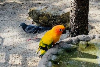 FullSizeRender - 2020-01-21T124950.082