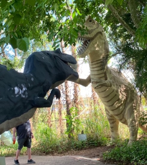 FullSizeRender - 2020-01-22T133008.759