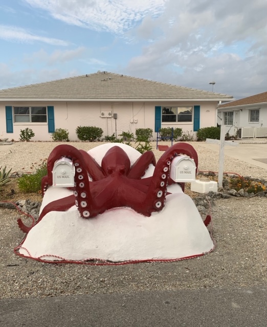 FullSizeRender - 2020-01-30T191006.847