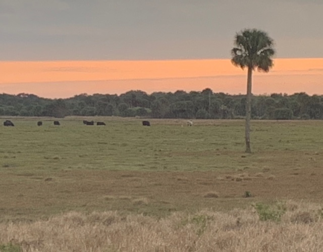 FullSizeRender - 2020-02-05T181707.112