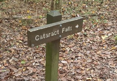 20151024-142746-largejpg